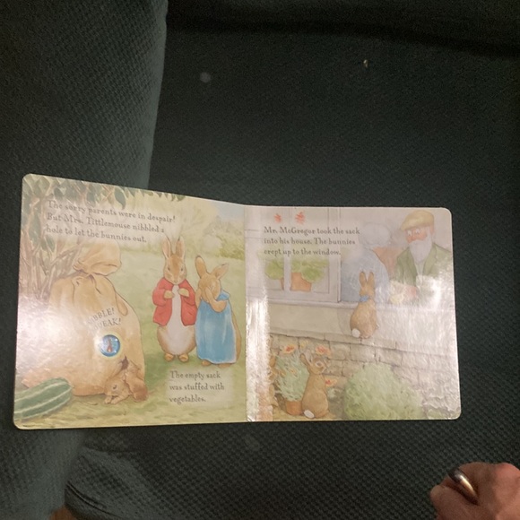 “Peter rabbit and the Flopsy bunnies “ kids sound board book - Picture 13 of 14